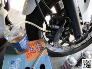 IMG 0717 539x404